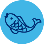 alymicrose