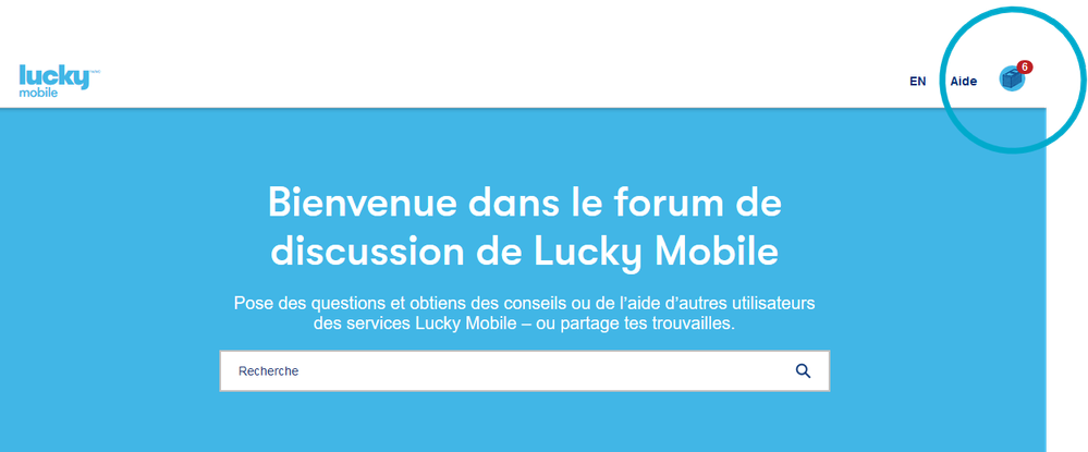 LM_FR_PM_Screenshot_1.png